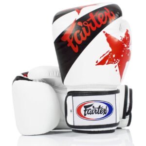 "Fairtex" bokso pirštinės bgv1n white