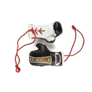 "Royal" mini bokso pirštinaitės Boxing black